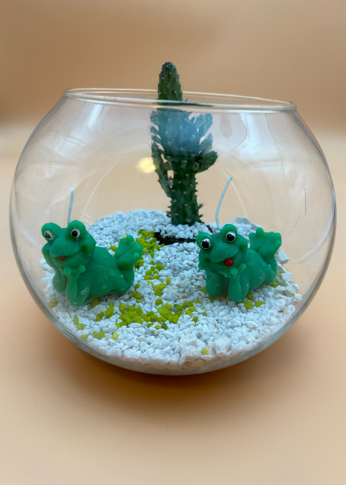 Kerze 2 Frösche mit Glas und Kaktee